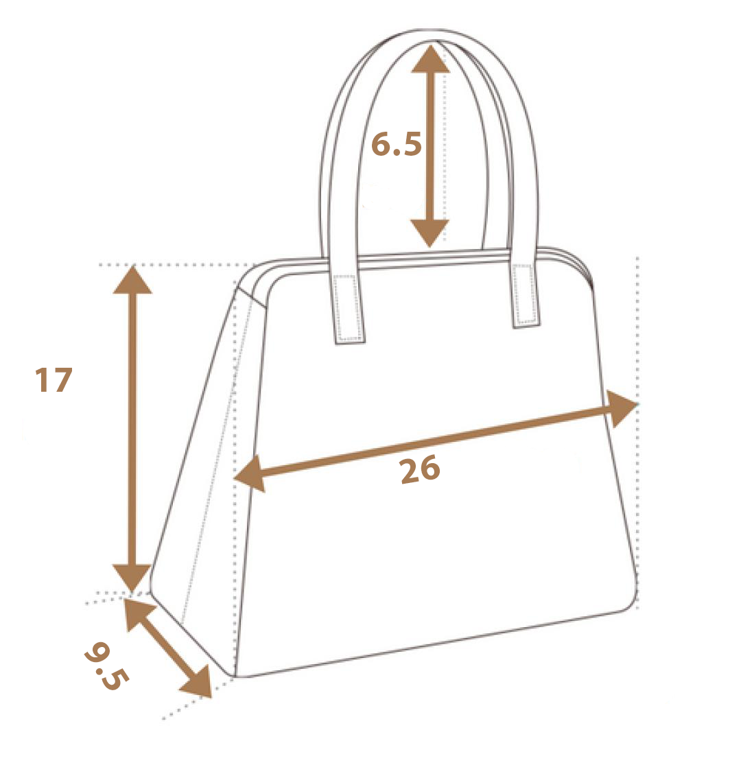 Dazzling Diva Black Women Bag